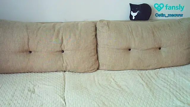 Snapshot of Ostin_meow chatting on March 19, 6:14 am Ostin meow online show from March 19, 6:14 am