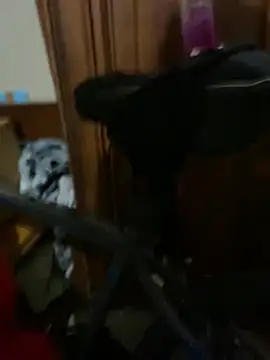 Fuckboy4public online show from January 2, 5:57 am