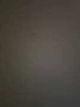 krishking1117 online show from December 17, 6:45 am