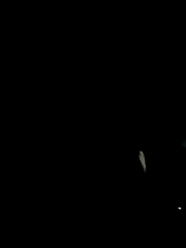 Mustafa-231 online show from December 3, 7:42 pm