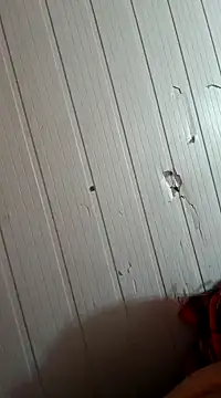 frotasso online show from January 1, 10:32 am