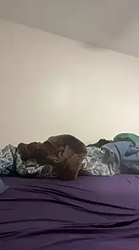 daddymaniaco69 online show from December 28, 4:52 pm