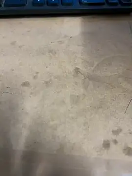 Hillz king 98 online show from January 3, 12:33 am