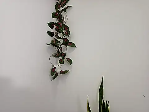 codysmith online show from January 5, 7:17 pm