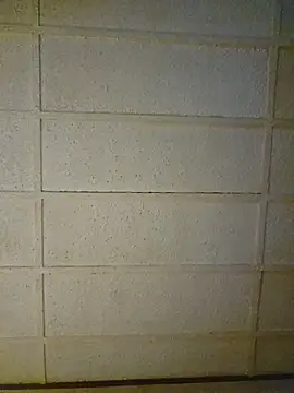 zaneporter46 online show from February 10, 8:41 am