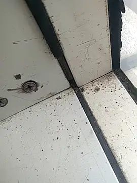 teluguu-rajj online show from October 20, 6:50 am