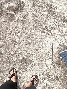 aryan 8051 online show from January 12, 4:31 am