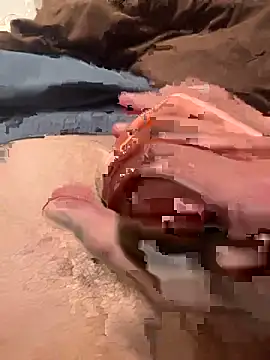 qazsazx online show from November 19, 5:29 am