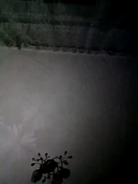 AlexKr95 online show from January 9, 6:57 pm