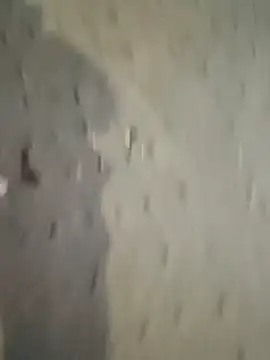 Raj41 online show from December 22, 12:24 pm