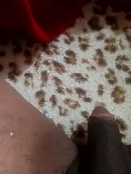 mhmia online show from January 9, 8:36 pm