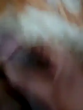 mhmia online show from February 2, 12:13 pm