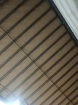 wadmma online show from September 25, 10:30 pm