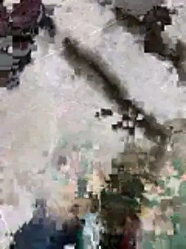 suggest121 online show from November 19, 9:53 am