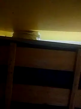 Osamuel623 online show from November 24, 2:07 pm