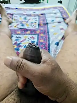 Raju Telugu online show from April 8, 4:35 am