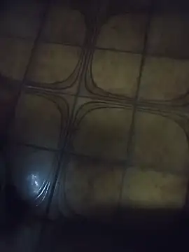 serpensy online show from September 24, 12:43 am