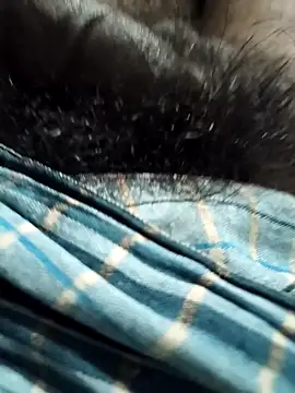 Snapshot of Sahil1222Freedom chatting on October 1, 11:14 am Sahil1222Freedom online show from October 1, 11:14 am