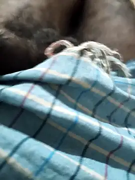 Snapshot of Sahil1222Freedom chatting on September 14, 8:05 am Sahil1222Freedom online show from September 14, 8:05 am