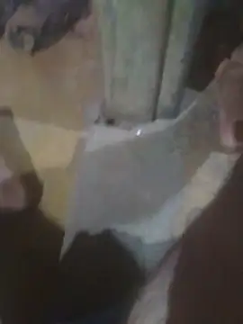 Gouvere online show from April 29, 2:38 am