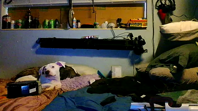 PornStro921 online show from March 17, 8:44 pm