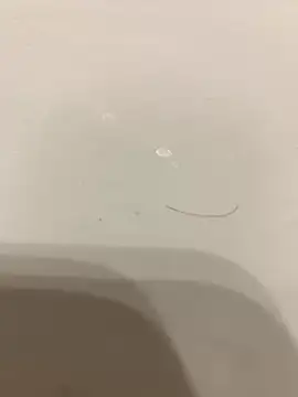 Runstat online show from September 13, 2:40 pm