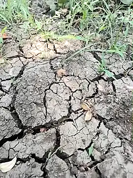 himvilohi08 online show from April 1, 5:09 am