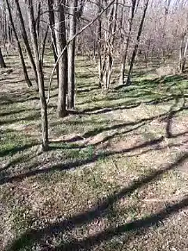 sile47 online show from March 10, 12:17 pm