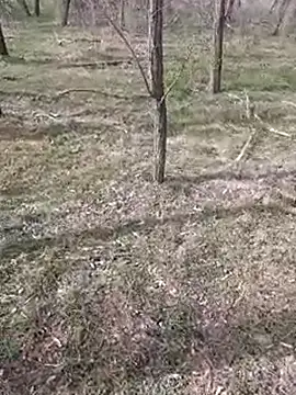 sile47 online show from March 11, 11:23 am