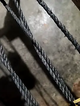 PolarFriend0 online show from February 26, 9:10 am