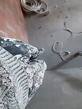 MaksDzubaV online show from March 25, 9:46 am