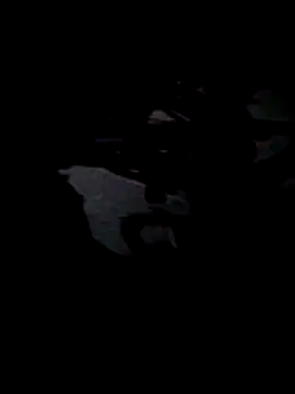 jezuha online show from March 8, 4:05 am