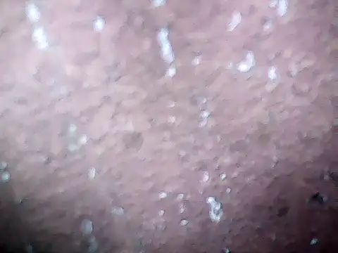 20cmloiro online show from February 27, 9:54 am