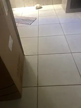 PIROCAGG21 online show from January 16, 10:07 am