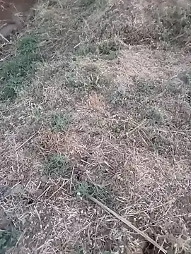 mkallu1995 online show from March 5, 1:18 pm