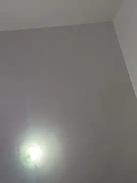 japa-16cm online show from February 8, 12:10 pm