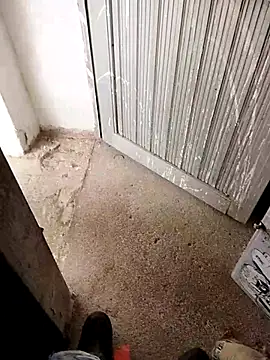 13elvergon online show from October 1, 3:38 pm