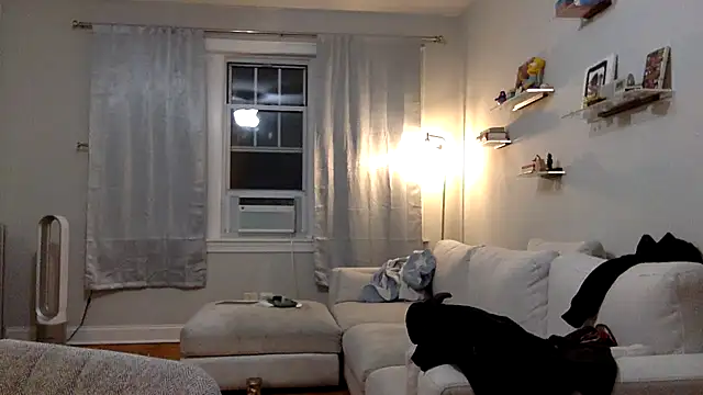 robin bones online show from November 15, 11:51 pm