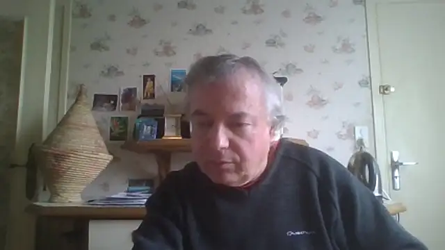 gegevincent online show from April 12, 11:22 am