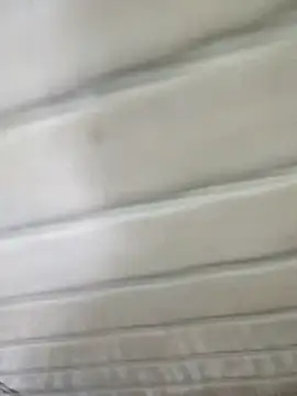 brownbear6 online show from October 10, 11:37 am