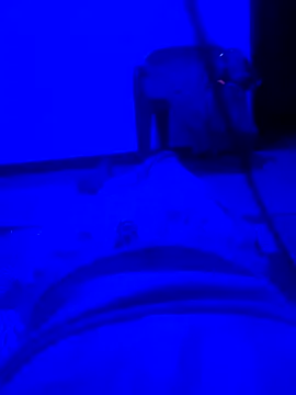 keten3824A online show from April 28, 8:24 pm