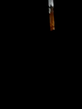 DonTorcuato online show from September 9, 7:08 am