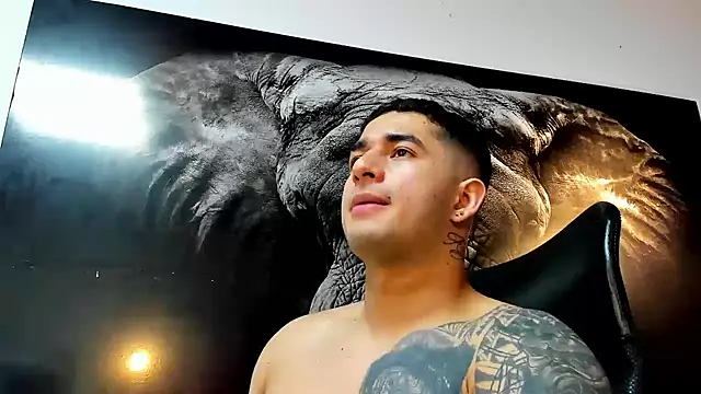 king falconer online show from November 22, 2:44 am