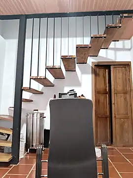 Hiroshi Shen online show from November 14, 10:38 am