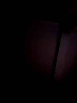 jvdzj-0  online show from December 5, 2:40 am