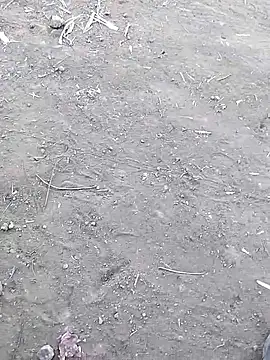 Wet BunnyFun online show from December 19, 8:44 am