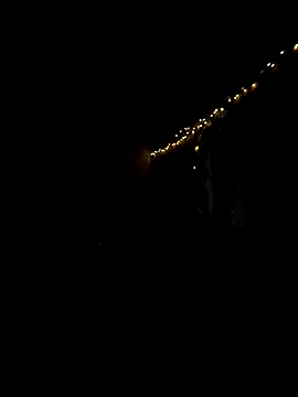 night  wolf online show from April 10, 4:47 pm