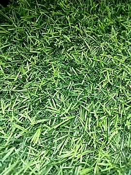 BlackhorseBBC online show from April 12, 8:49 am