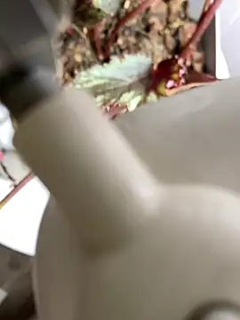 Jonny Agatha online show from March 3, 12:34 pm