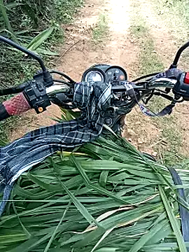 Snapshot of funcreat chatting on September 27, 4:43 am funcreat online show from September 27, 4:43 am